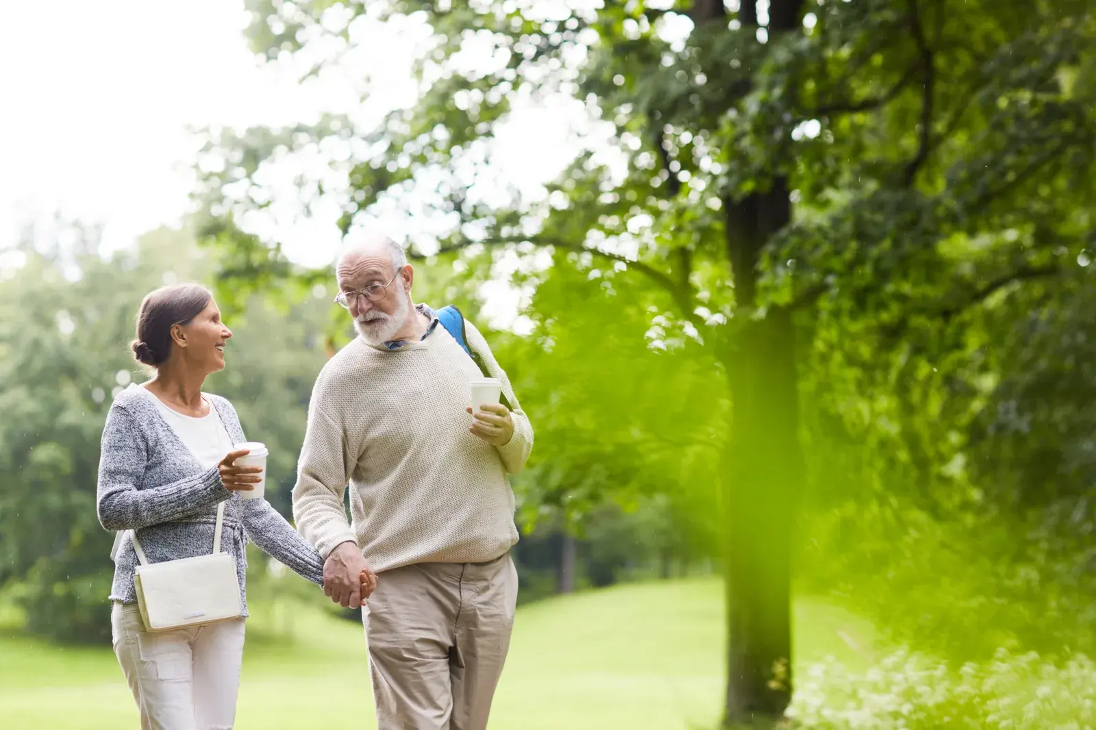 A mature couple holding hands during a walk in a green park